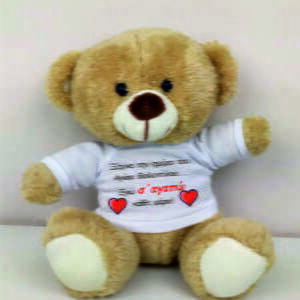 Αρκουδάκι με αφιέρωση ή φωτογραφία!