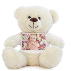 Αρκουδάκια