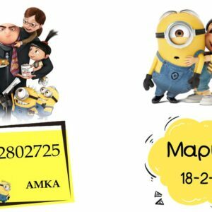 Θήκη βιβλιαρίου minions!